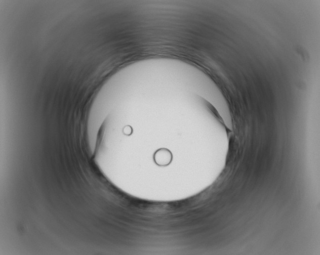 X0000113250124200910221129