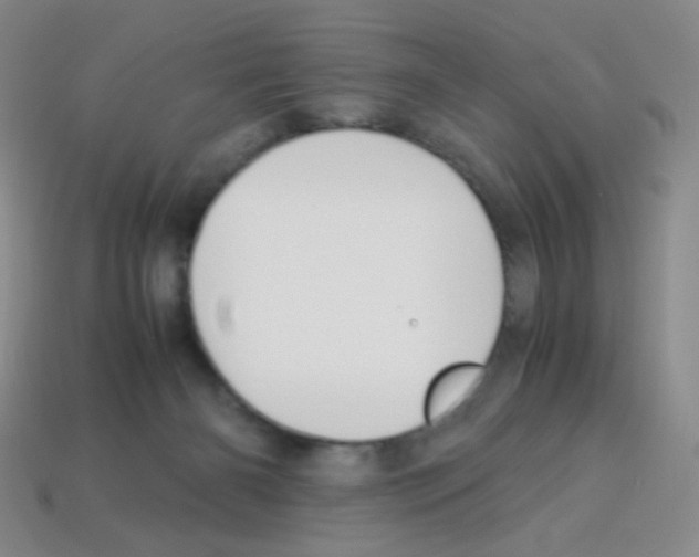 X0000113250126200910221129