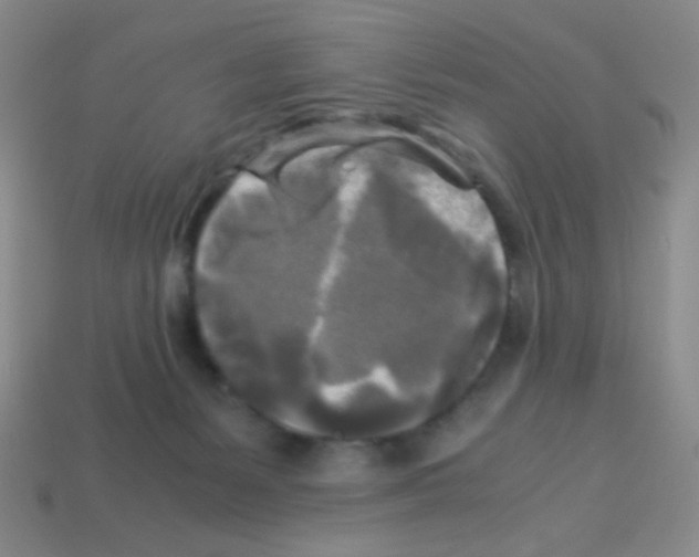 X0000113250127200910221129