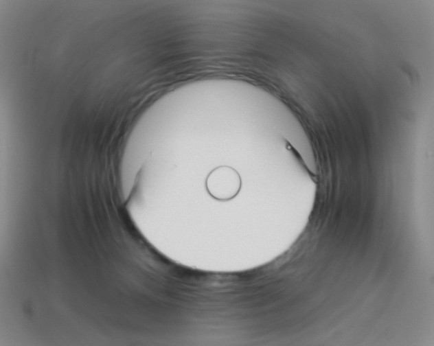 X0000113250128200910221129