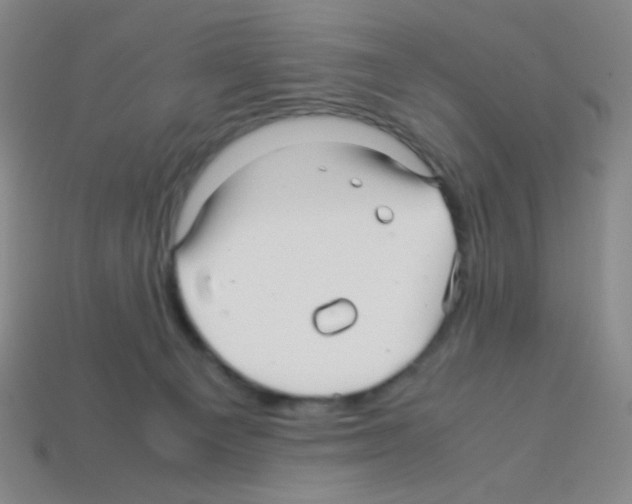 X0000113250129200910221129