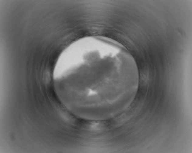 X0000113250130200910221129