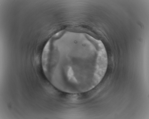 X0000113250131200910221129