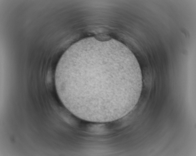 X0000113250132200910221129