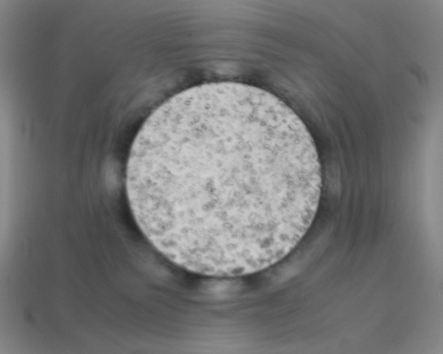 X0000113250135200910221129