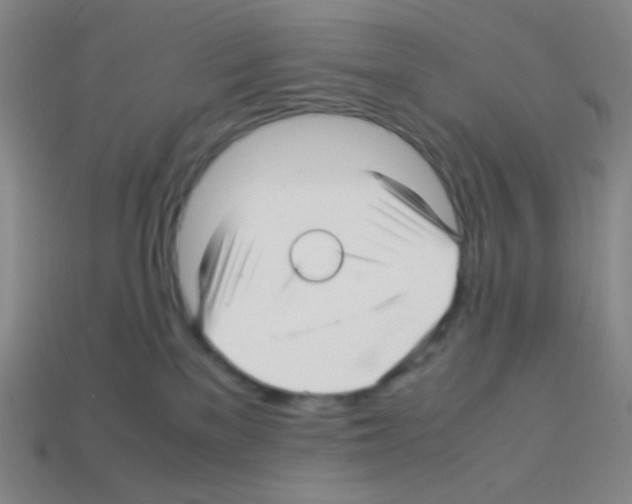 X0000113250137200910221129