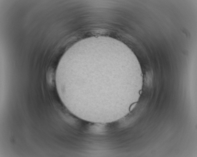 X0000113250138200910221129