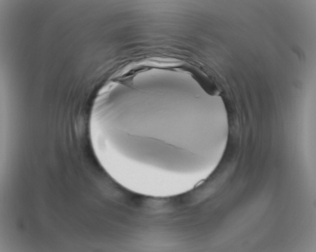 X0000113250139200910221129