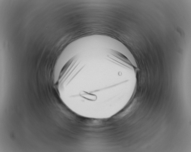 X0000113250140200910221129