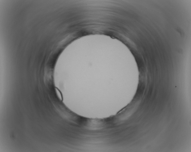 X0000113250141200910221129