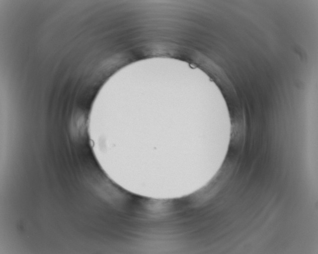 X0000113250142200910221129