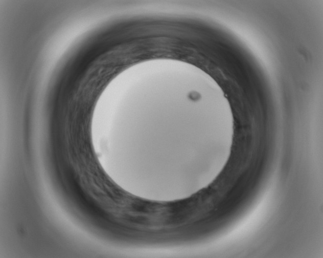 X0000113250143200910221129