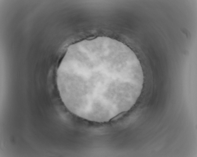 X0000113250144200910221129