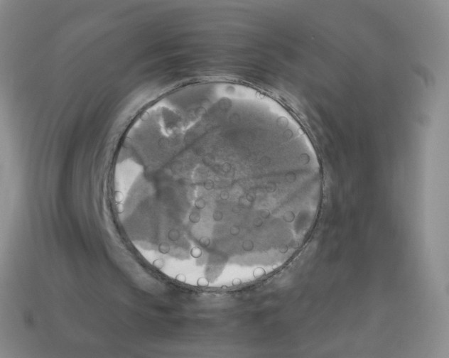 X0000113250145200910221128