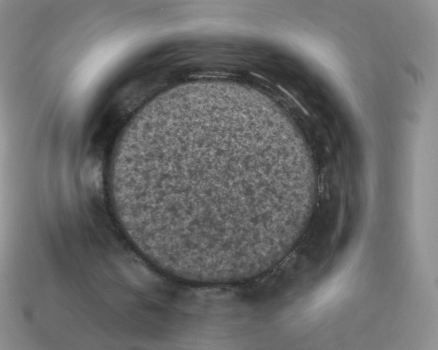 X0000113250146200910221128