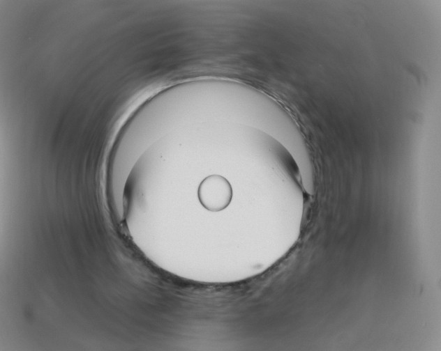 X0000113250148200910221128