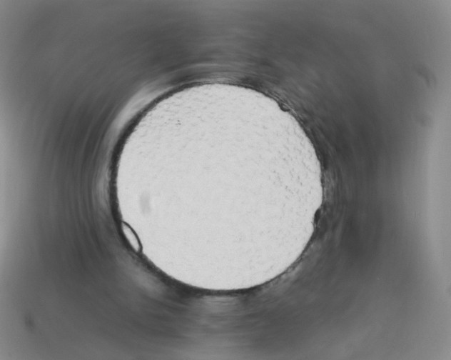 X0000113250150200910221128