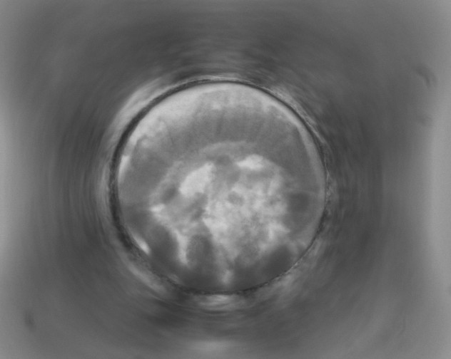 X0000113250151200910221128