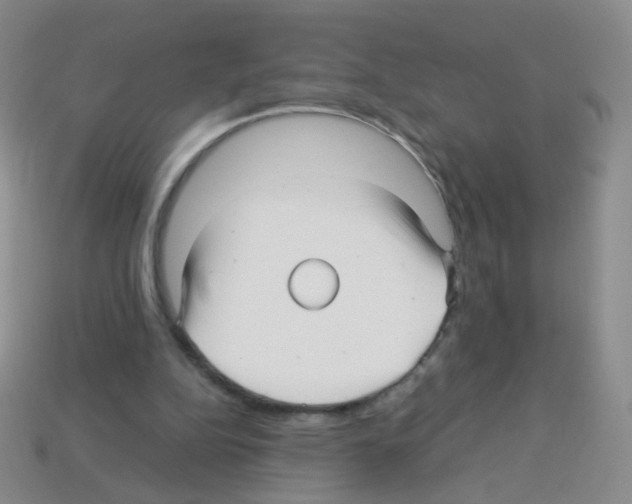 X0000113250152200910221128