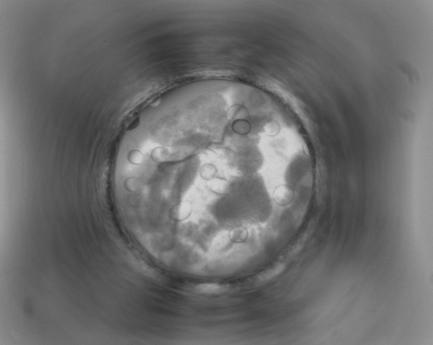 X0000113250153200910221128