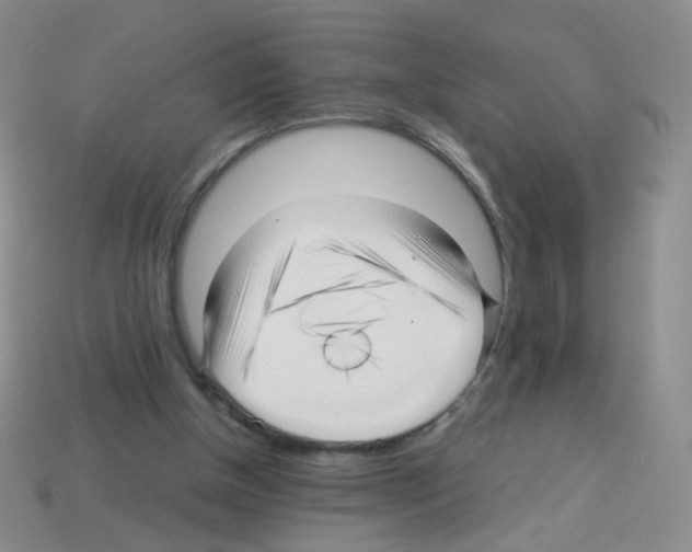 X0000113250154200910221128