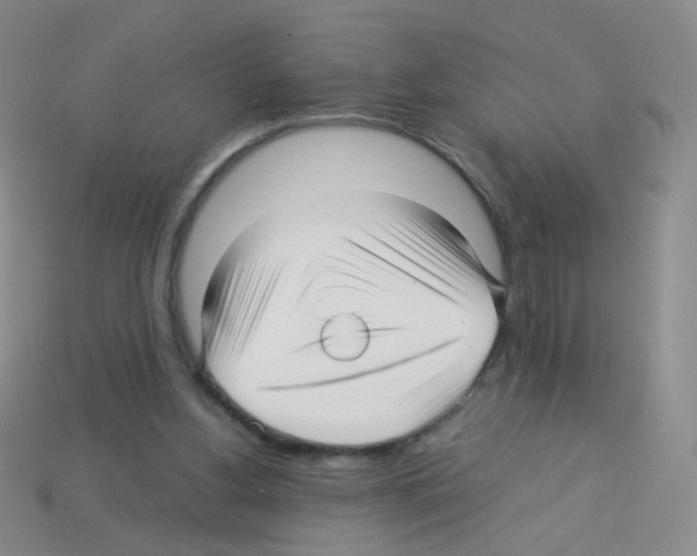 X0000113250156200910221128