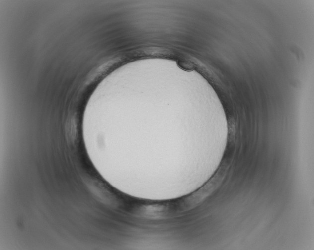 X0000113250158200910221128