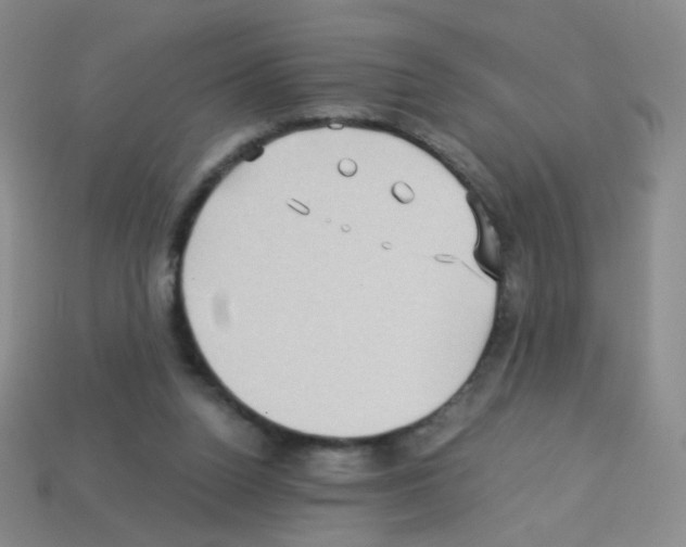 X0000113250160200910221128