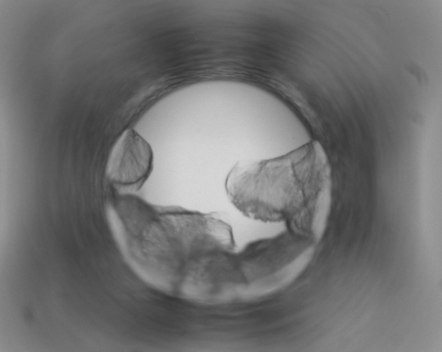 X0000113250161200910221128