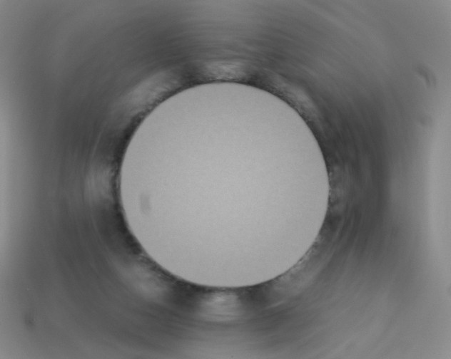 X0000113250162200910221128