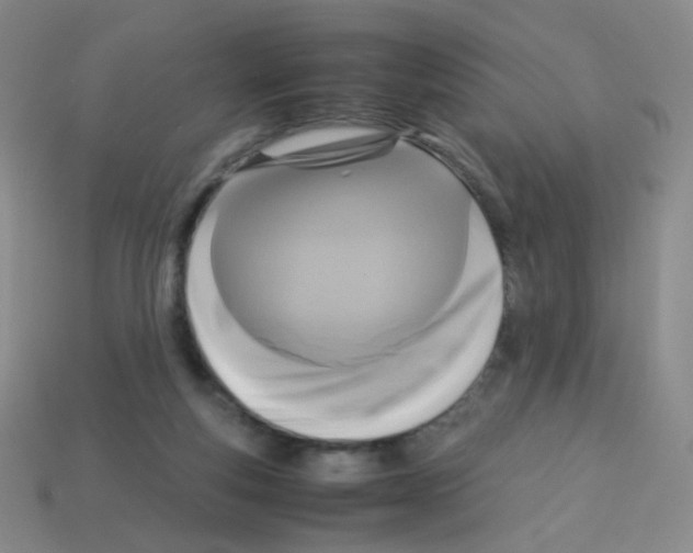 X0000113250163200910221128