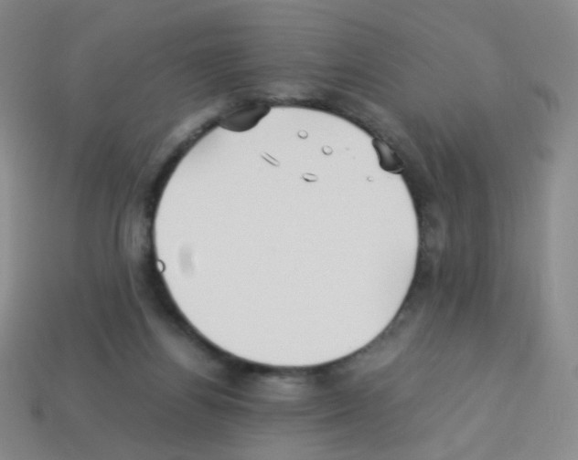 X0000113250164200910221128