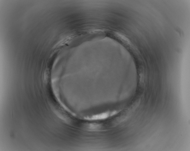 X0000113250165200910221128