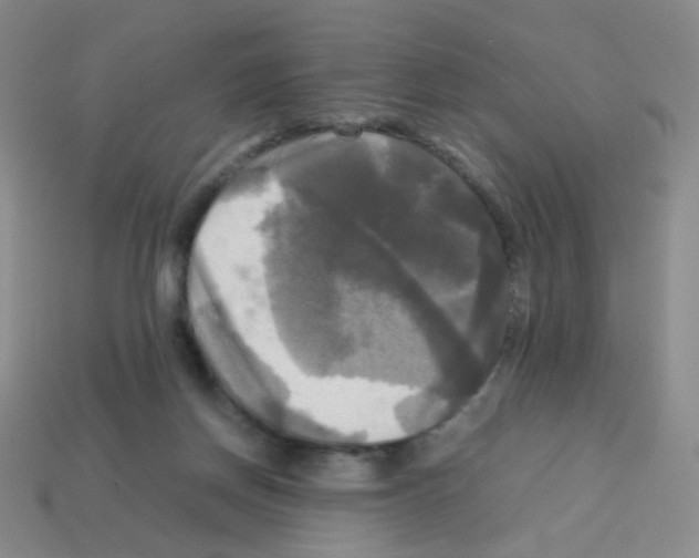 X0000113250166200910221128