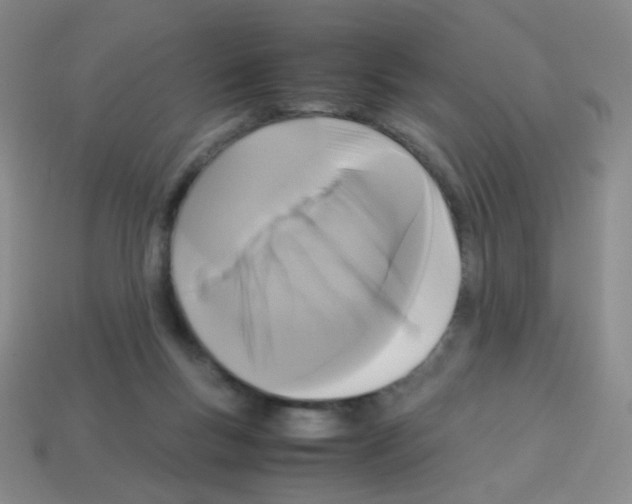 X0000113250167200910221128