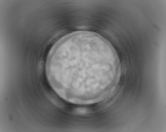 X0000113250171200910221128