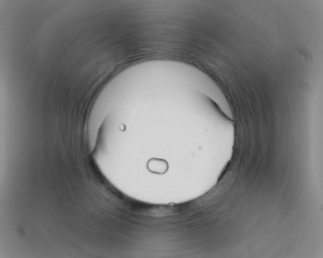 X0000113250172200910221128