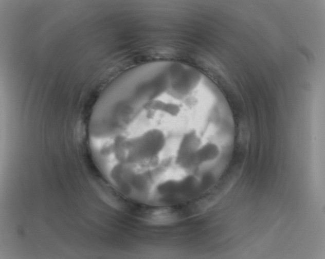 X0000113250173200910221128