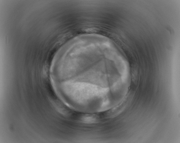 X0000113250175200910221128