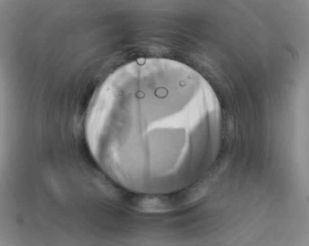 X0000113250177200910221128