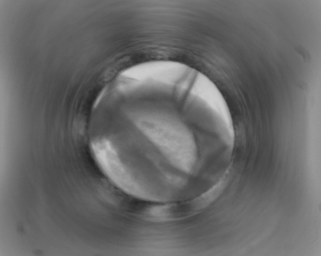 X0000113250178200910221128