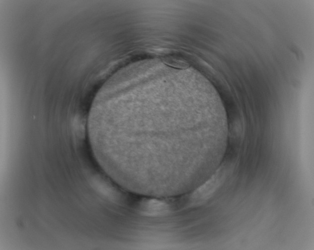 X0000113250180200910221129