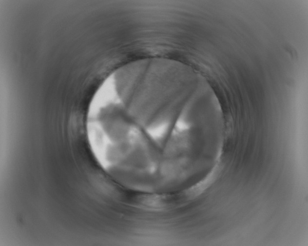 X0000113250182200910221129