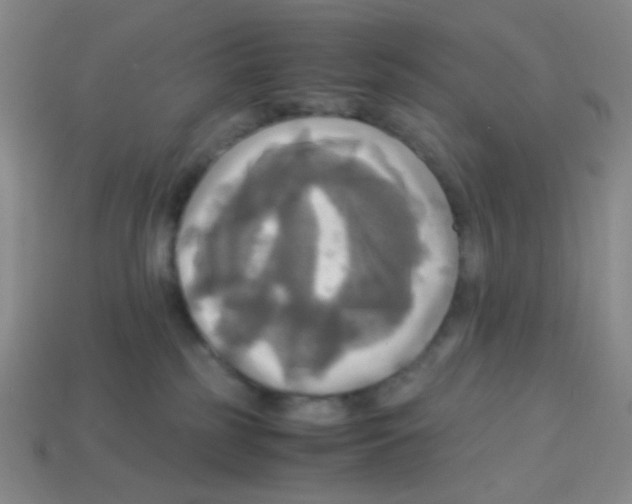 X0000113250185200910221129