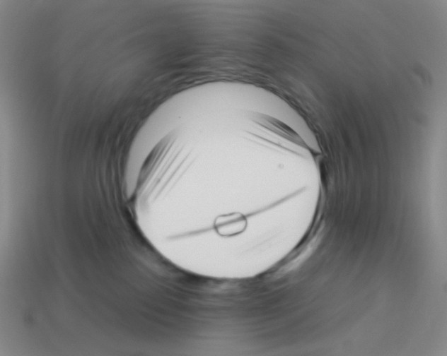 X0000113250186200910221129