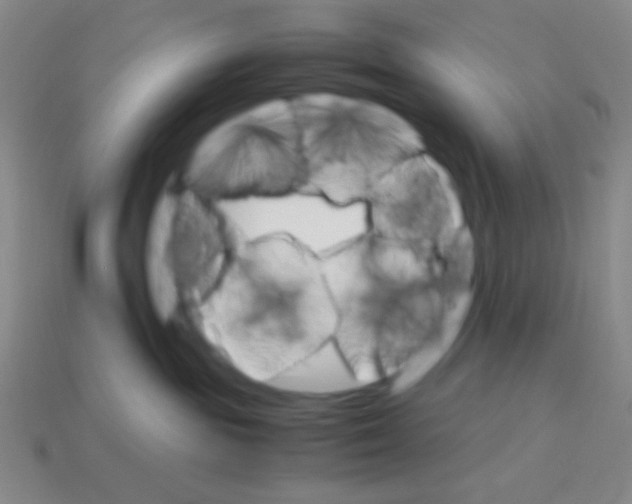 X0000113250189200910221129