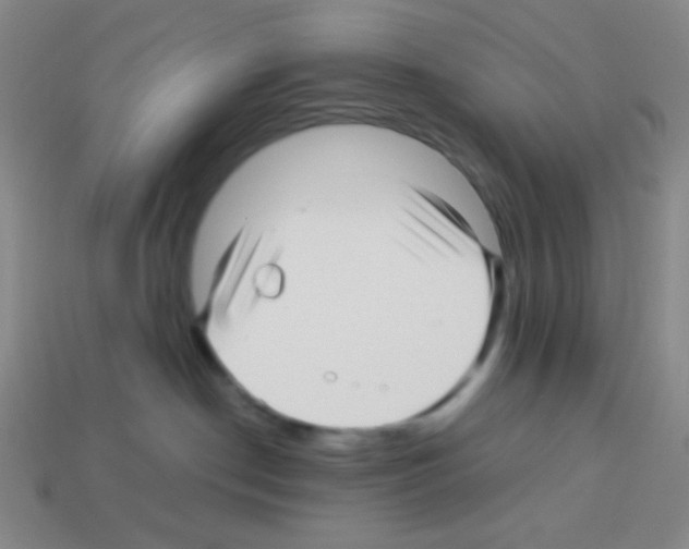 X0000113250190200910221129