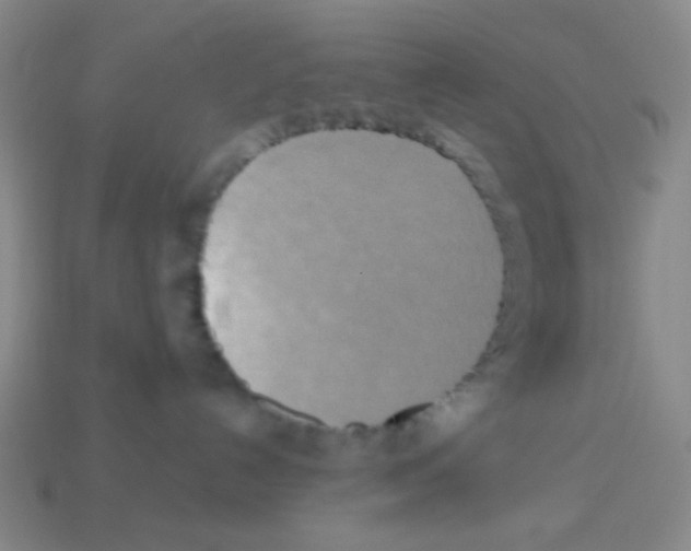 X0000113250192200910221129