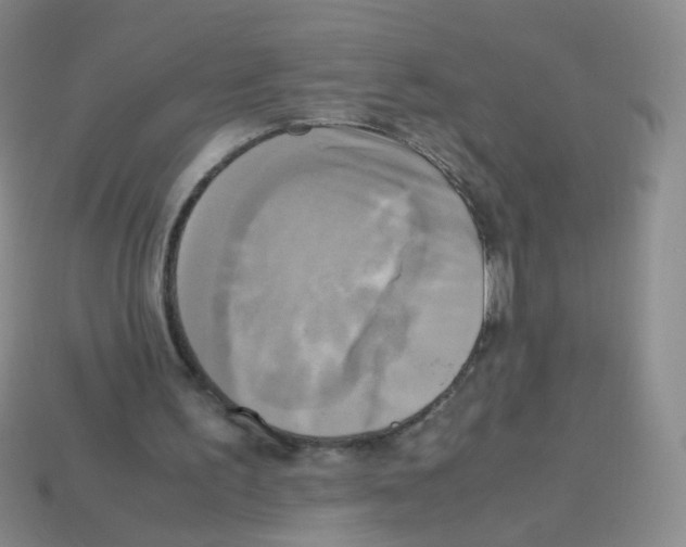 X0000113250195200910221128