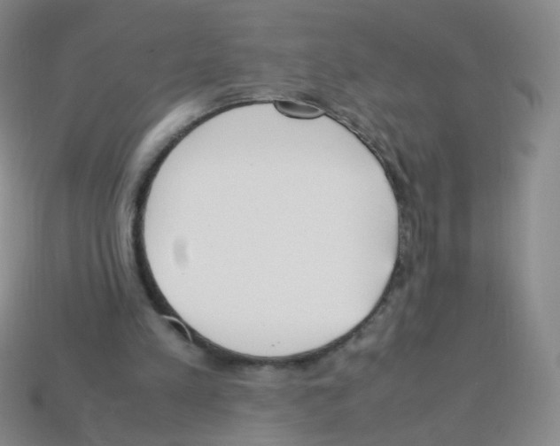 X0000113250197200910221128